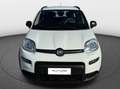Fiat Panda 1.0 firefly hybrid City Life PRONTA CONSEGNA Weiß - thumbnail 6