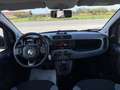 Fiat Panda 1.0 firefly hybrid City Life PRONTA CONSEGNA Weiß - thumbnail 17