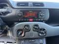 Fiat Panda 1.0 firefly hybrid City Life PRONTA CONSEGNA Weiß - thumbnail 16