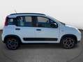 Fiat Panda 1.0 firefly hybrid City Life PRONTA CONSEGNA Weiß - thumbnail 3