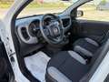 Fiat Panda 1.0 firefly hybrid City Life PRONTA CONSEGNA Weiß - thumbnail 11