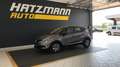 Renault Express CAPTUR ion 0,9 90PS 5G Schalter Grau - thumbnail 2