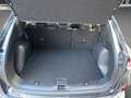 Ford Kuga Plug-In Hybrid Titanium Grau - thumbnail 20