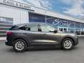 Ford Kuga Plug-In Hybrid Titanium Grau - thumbnail 7
