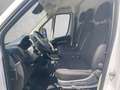 Citroen Jumper Jumper 35+ L3H2 BlueHDi 140 S&S Weiß - thumbnail 6