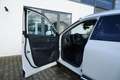 Nissan X-Trail TEKNA+ plus e-POWER e-4ORCE 5Sitz SOFORT! Blanco - thumbnail 8