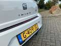 SEAT Ibiza 1.0 MPI REFERENCE Blanc - thumbnail 14