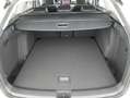 Volkswagen Golf Variant Business TDI DSG Weiß - thumbnail 22