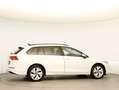 Volkswagen Golf Variant Business TDI DSG Weiß - thumbnail 27
