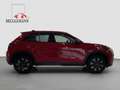 Fiat 600 Hybrid Special Edition Rouge - thumbnail 7