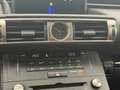 Lexus IS 300 300h Business Line Dealer Onderhouden Parelmoer Le Weiß - thumbnail 25
