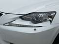 Lexus IS 300 300h Business Line Dealer Onderhouden Parelmoer Le Weiß - thumbnail 34