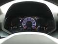 SEAT Arona 1.0 TSI S&S X-perience DSG7 115 Blanco - thumbnail 9