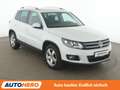 Volkswagen Tiguan 1.4 TSI Cup Sport & Style BMT*XENON*PLA* Weiß - thumbnail 8