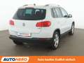 Volkswagen Tiguan 1.4 TSI Cup Sport & Style BMT*XENON*PLA* Weiß - thumbnail 6