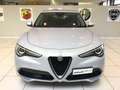 Alfa Romeo Stelvio Stelvio 2.2 Turbodiesel 160 CV AT8 RWD Business M Gris - thumbnail 4