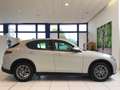 Alfa Romeo Stelvio Stelvio 2.2 Turbodiesel 160 CV AT8 RWD Business M Gris - thumbnail 2