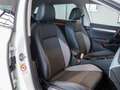 Volkswagen Golf Variant Golf VIII Variant 2.0 TDI DSG GOAL SHZ, CLIMA, ACC Weiß - thumbnail 7