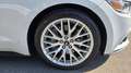 Ford Mustang Convertible 2.3 ecoboost 317cv auto PERMUTE ITALIA Bianco - thumbnail 5