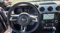 Ford Mustang Convertible 2.3 ecoboost 317cv auto PERMUTE ITALIA Bianco - thumbnail 11