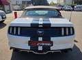 Ford Mustang Convertible 2.3 ecoboost 317cv auto PERMUTE ITALIA Bianco - thumbnail 4