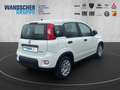 Fiat Panda MY24 1.0 Hybrid KLIMAANLAGE*RADIO* Weiß - thumbnail 5
