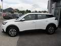 Peugeot 2008 PureTech 100 S&S Active 6-Gang-Manuell Weiß - thumbnail 7