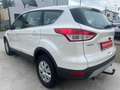 Ford Kuga Allrad Automatik 2,0 TDCi 4x4 Aut. Weiß - thumbnail 6