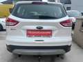 Ford Kuga Allrad Automatik 2,0 TDCi 4x4 Aut. Weiß - thumbnail 5
