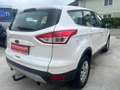 Ford Kuga Allrad Automatik 2,0 TDCi 4x4 Aut. Weiß - thumbnail 4