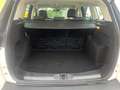 Ford Kuga Allrad Automatik 2,0 TDCi 4x4 Aut. Weiß - thumbnail 7