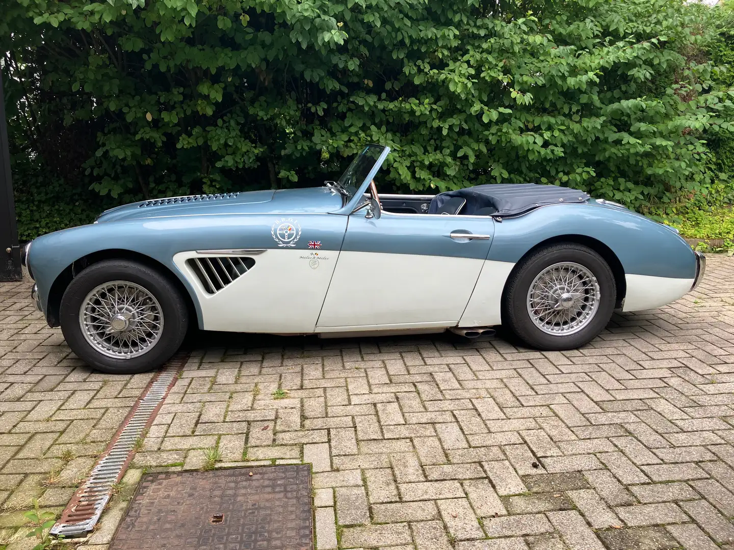 Austin-Healey 3000 plava - 1