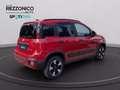 Fiat Pandina 1.0 firefly hybrid s&s 70cv CROSS - NEOPAT Червоний - thumbnail 4