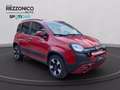 Fiat Pandina 1.0 firefly hybrid s&s 70cv CROSS - NEOPAT Червоний - thumbnail 12
