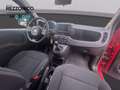 Fiat Pandina 1.0 firefly hybrid s&s 70cv CROSS - NEOPAT Червоний - thumbnail 10
