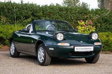 NA 1.6l Hu Neo Green