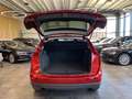 Audi Q5 2.0 TDI  quattro *STANDHEIZUNG*XENON-PLUS*ACC Rouge - thumbnail 29