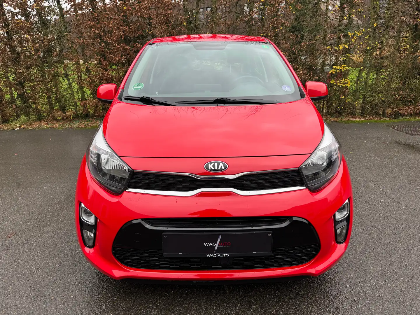 Kia Picanto 1.0i / AUTOMATIQUE / / CARPLAY / / CARNET / Rood - 2