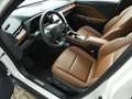 Lexus LBX Hybrid RELAX +Elektrische zetel +Zetelverwarming Blanc - thumbnail 10