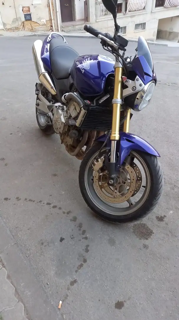 Honda Hornet 600 Modrá - 2