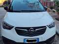 Opel Crossland X 1.2 Innovation 81cv Gpl Wit - thumbnail 1