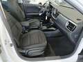 Kia Stonic 1.0 T-GDi MHEV Drive 100 - thumbnail 18