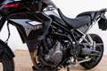 Triumph Tiger 900 - thumbnail 9
