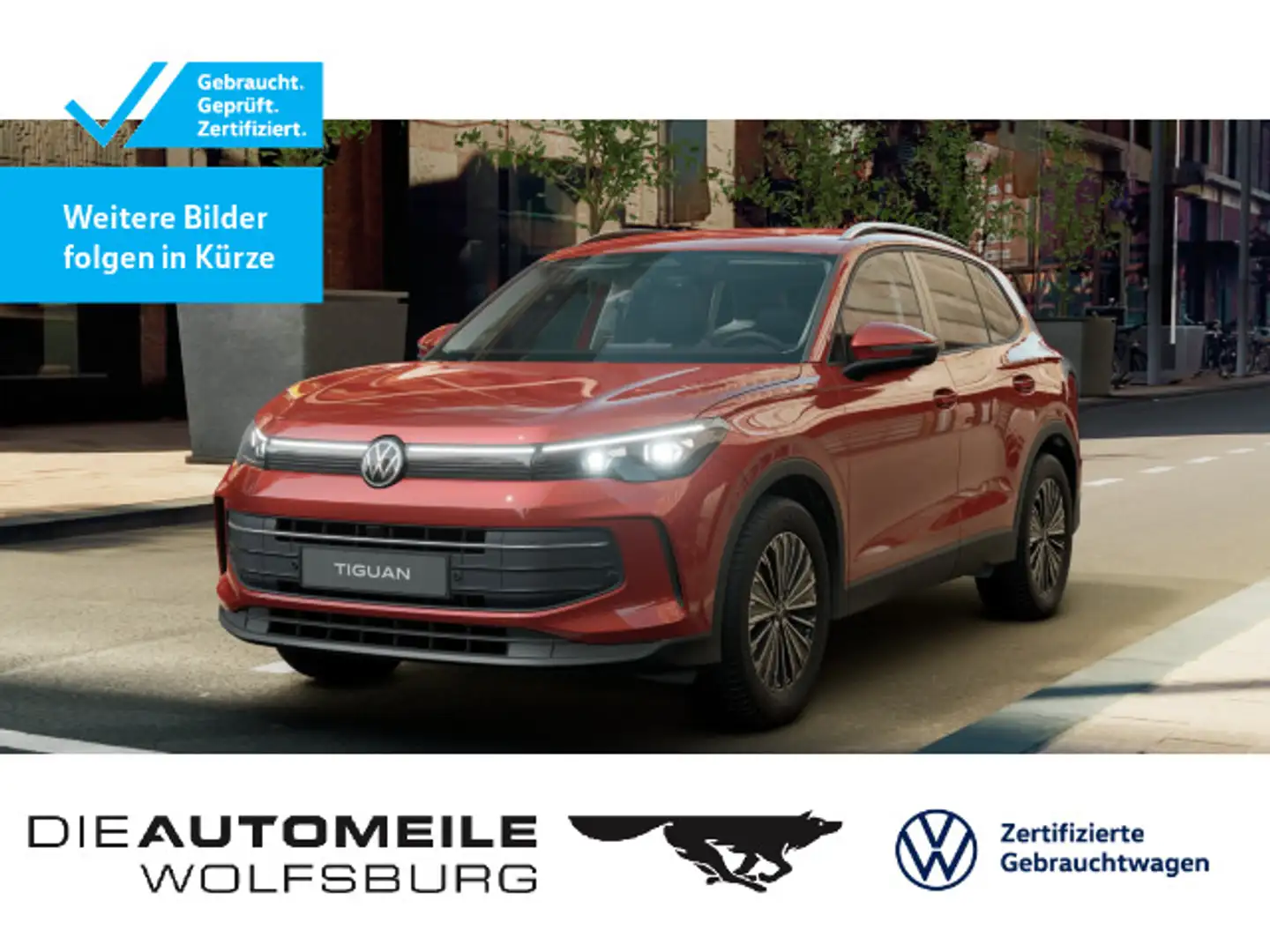 Volkswagen Tiguan 1.5 eTSI DSG Life Matrix/AHK/Stand/ACC Rot - 1