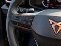 CUPRA Formentor 2.0 TDI DSG 4Drive AHK/Navi/RFK/Beats Schwarz - thumbnail 16