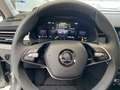 Skoda Kamiq 1.0 TSI Selection 130 J, Mod. 2026 Metallic Kamera Grau - thumbnail 19