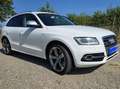 Audi SQ5 SQ5 3,0 TDI quattro DPF Tiptronic Weiß - thumbnail 1