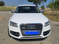 Audi SQ5 SQ5 3,0 TDI quattro DPF Tiptronic Weiß - thumbnail 3