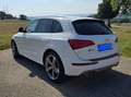 Audi SQ5 SQ5 3,0 TDI quattro DPF Tiptronic Weiß - thumbnail 6