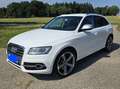 Audi SQ5 SQ5 3,0 TDI quattro DPF Tiptronic Weiß - thumbnail 4
